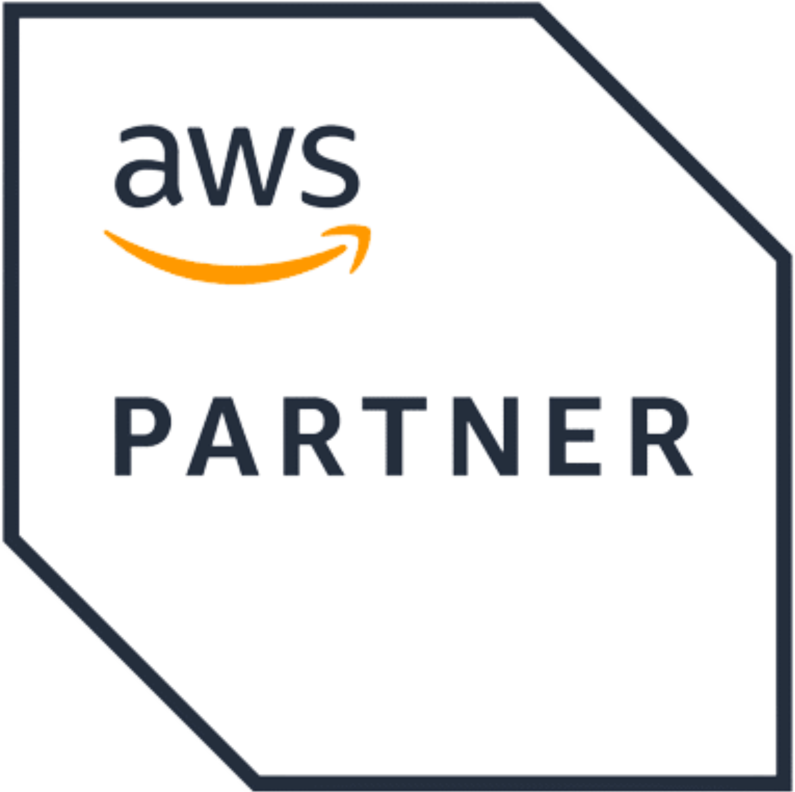 aws_partner_logo